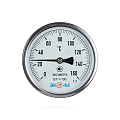 Термометр биметаллический осевой Дк100 160С L=40мм БТ-1-100 ЭКОМЕРА БТ-1-100-160С-L40